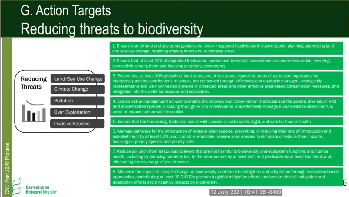 Screenshot_2021-07-12_at_16-41-44_Press_Conference_for_the_Release_of_the_First_Draft_of_the_post_2020_Global_Biodiversity__..._
